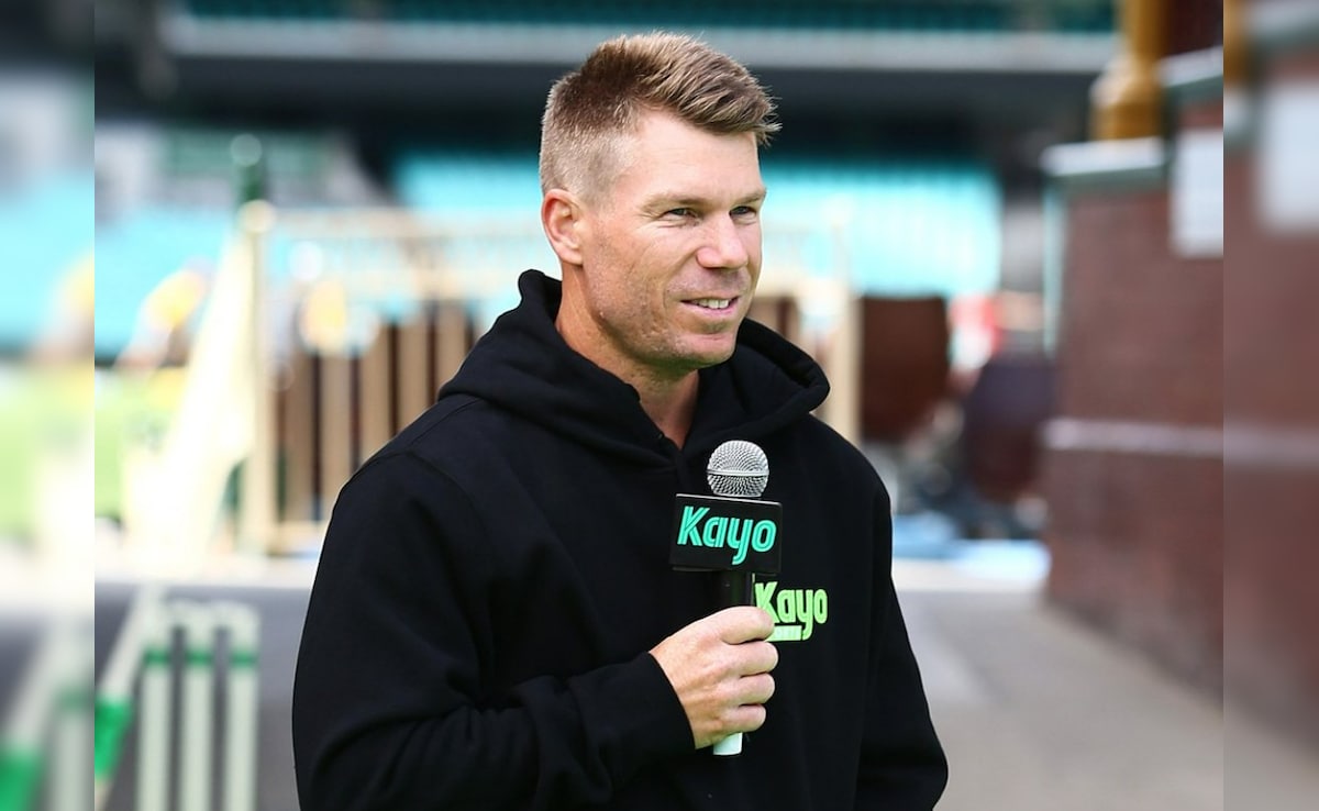 Nrcndqgg David Warner 625x300 03 November 24.jpg